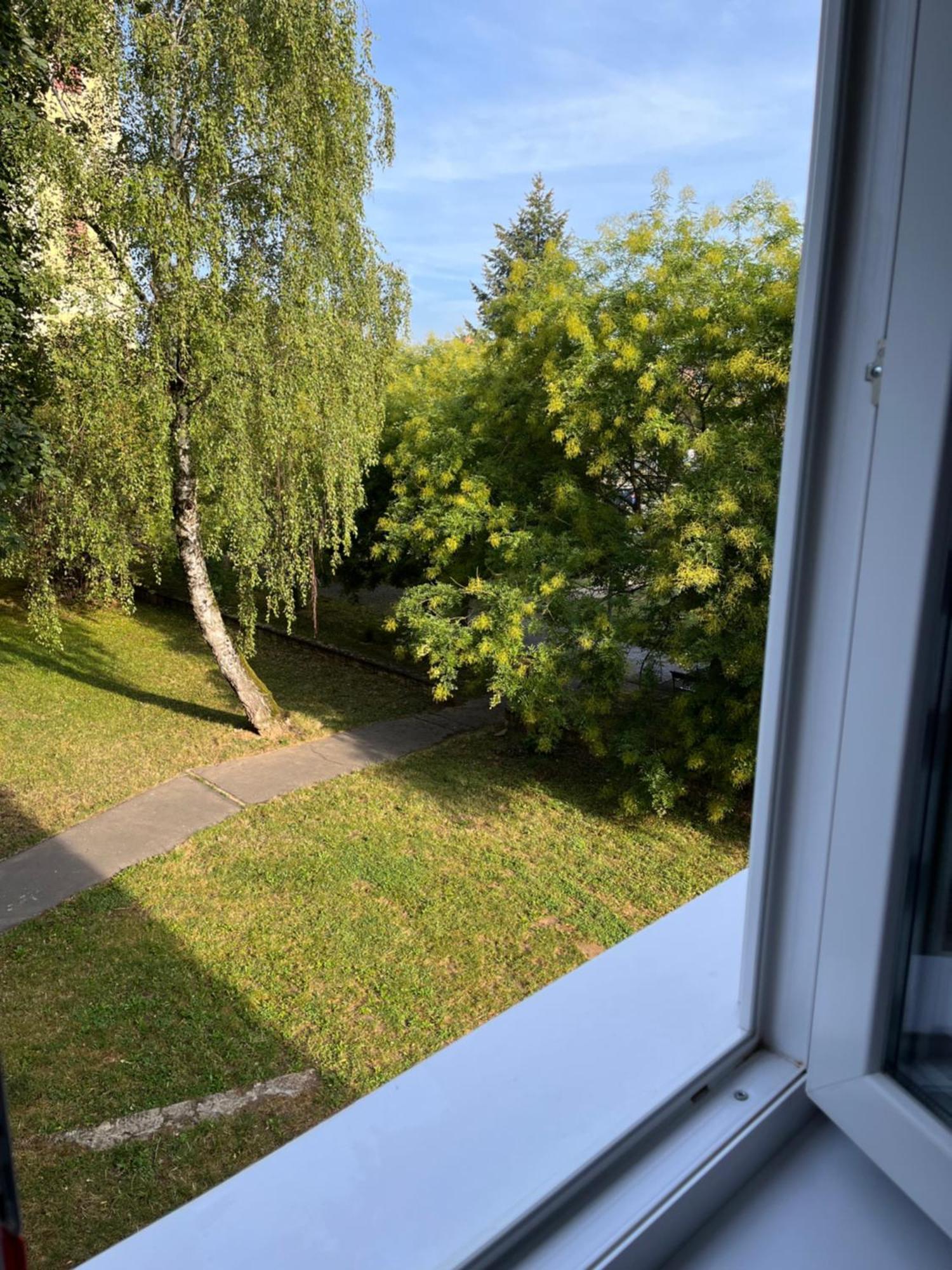 Apartment Kelemen *